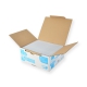 Boite 500 enveloppes DL auto-adhésives - 110x200 avec fenêtre 45x100